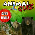 Animal Quiz