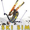 Ski Sim